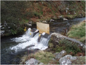 Belstone Weir